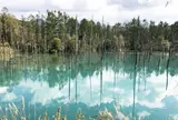 青い池