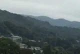 145号線 沿い
