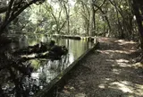 冷水の池
