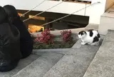 谷中銀座