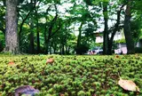 兼六園