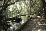 冷水の池