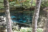 神の子池