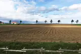 メルヘンの丘
