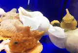 オホーツク流氷館