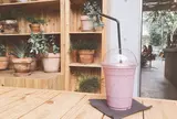 ニコライバーグマン ノム（Nicolai Bergmann NOMU ）