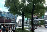 広島駅