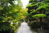 円通院