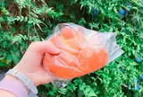 神楽坂 亀井堂