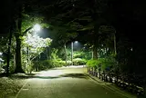 代々木公園