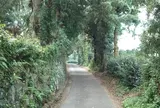 第二十三チェックポイント