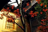 箔座 箔座ひかり藏