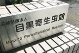目黒寄生虫館