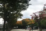 代々木公園