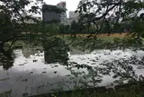 不忍池弁天堂