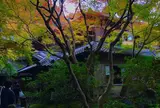 瑠璃光院