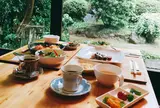 森の中キッチンのどか