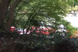 無事に下山