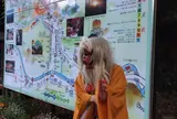 朝は居ませんでしたよ〜！