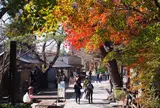山寺