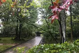 竹林寺