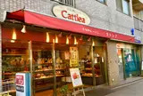 カトレア