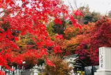 永源寺