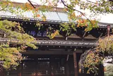 豪徳寺