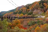 鬼怒楯岩大吊橋