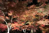 月の石もみじ公園