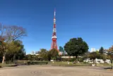 芝公園の芝生広場