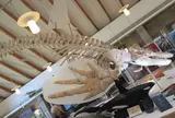 知床国立公園羅臼ビジターセンター