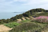 豊島棚田プロジェクト