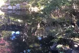殿ヶ谷戸庭園