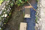お鷹の道・真姿の池湧水群