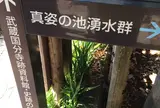 お鷹の道・真姿の池湧水群