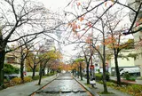 山谷堀公園