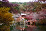 醍醐寺