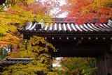 光明寺