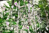 箱根ガラスの森美術館