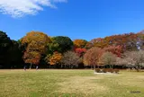 砧公園