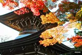 実相院