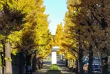 都立駒沢オリンピック公園