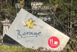 ボリジ