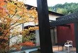 風の森