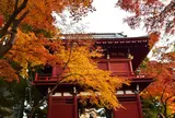 本土寺（あじさい寺）