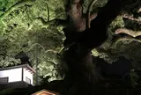 青蓮院門跡