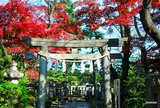 松陰神社（世田谷区）
