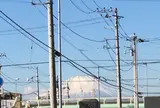 東真土