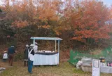 toitoitoi bake house